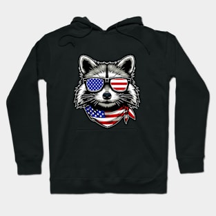 Vintage Raccoon USA Sunglasess Hoodie